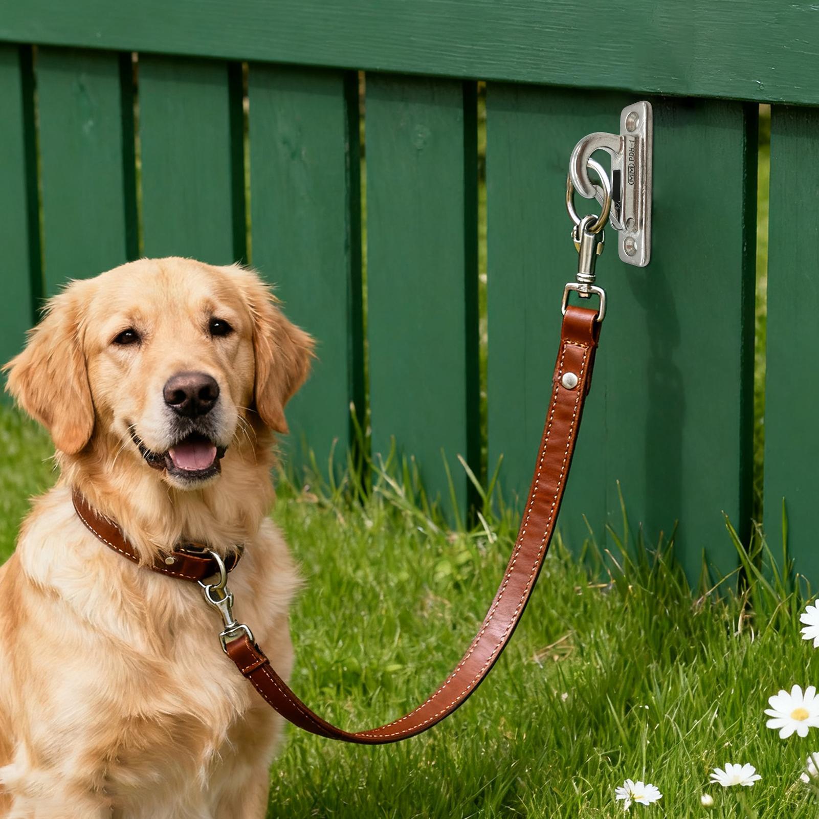 Dog Leashes Holder for Wall Pe - Security Chain Door review and price