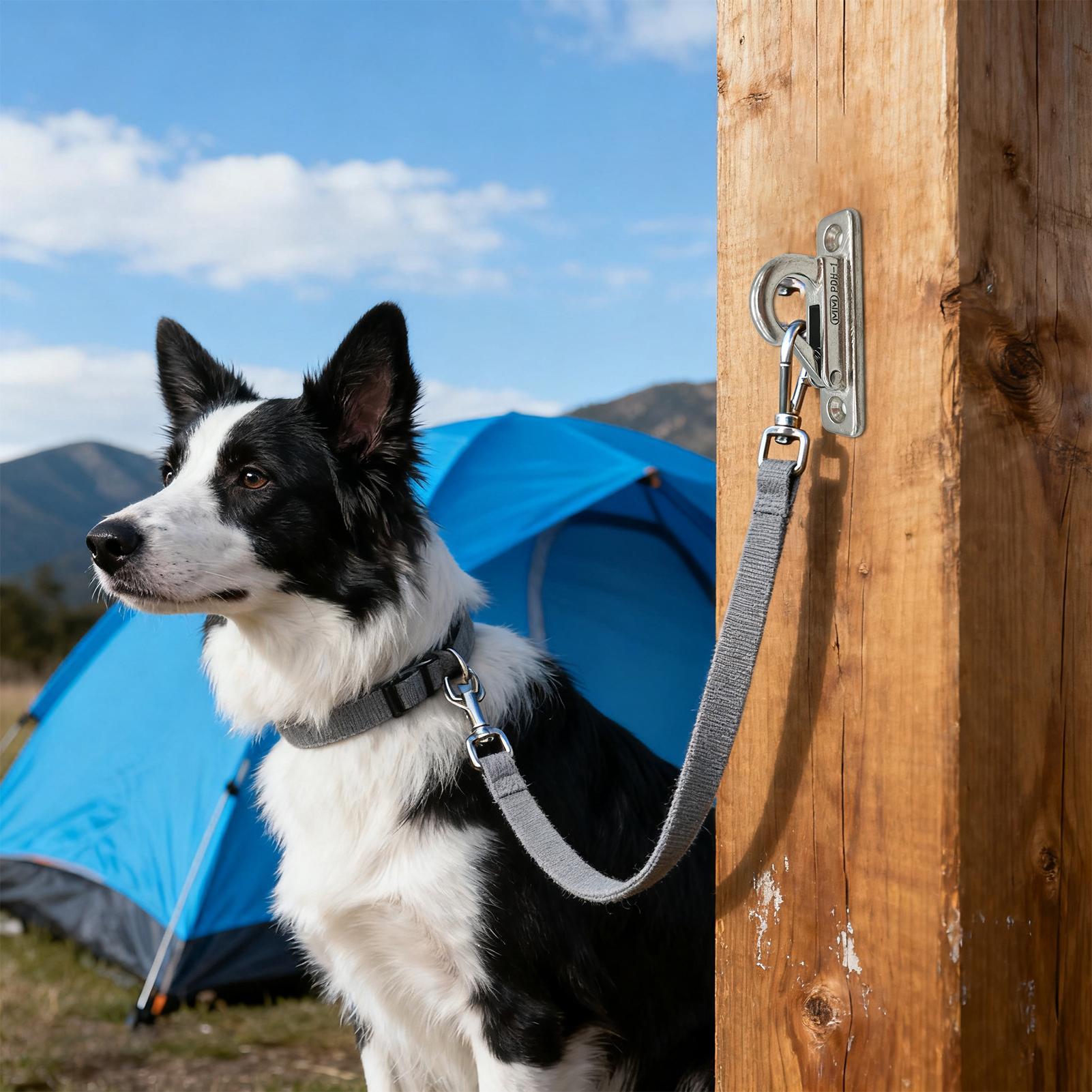 Dog Leashes Holder for Wall Pe - Security Chain Door review and price